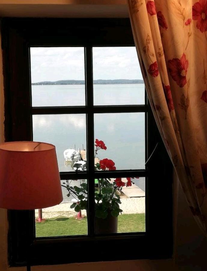 Bed and Breakfast Wiatrak Новые Гуты Экстерьер фото
